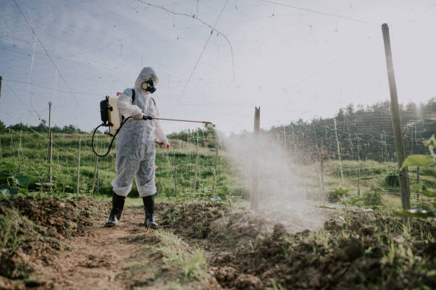 Professional Pest Control in Wanatah, IN
