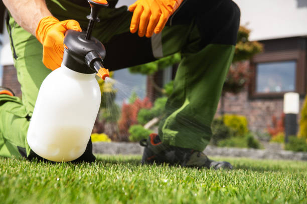 Best Best Pest Control Companies  in Wanatah, IN