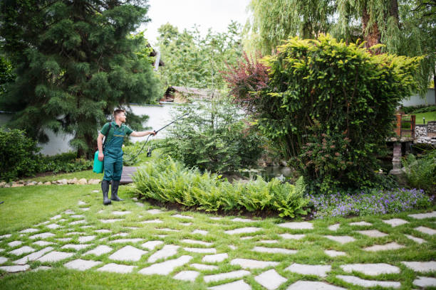 Best Ant Control Services  in Wanatah, IN