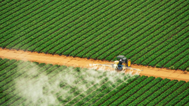Best Commercial Pest Control Services  in Wanatah, IN
